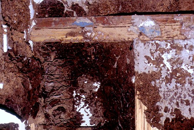 Termite damaged timber with the inside eaten away into thin layers